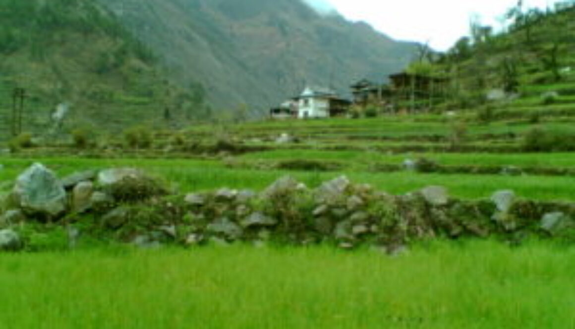 Shimla Tour Packages is really Beautiful view in Himachal